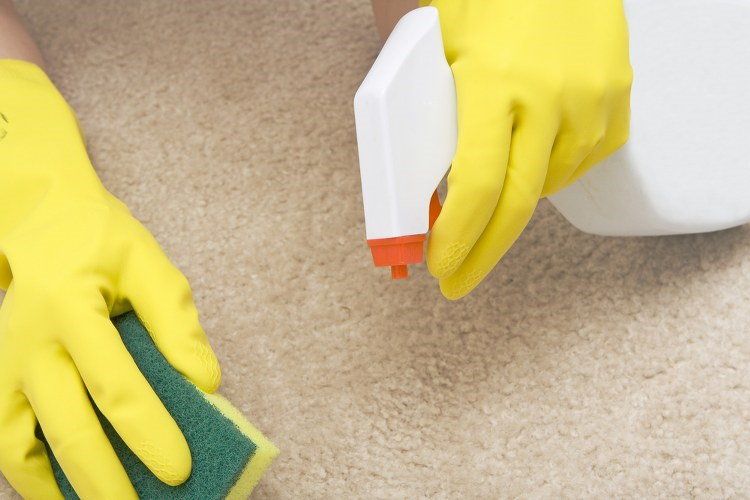 carpet stain removal