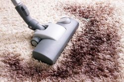 Cleaning Carpets