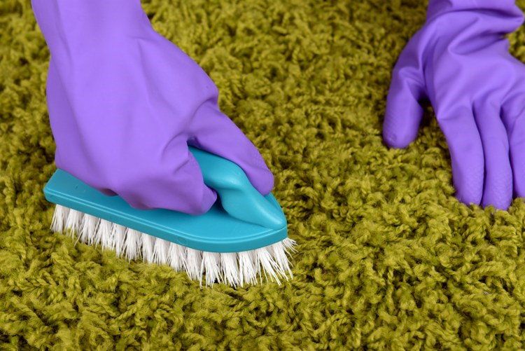 carpet stains brushing